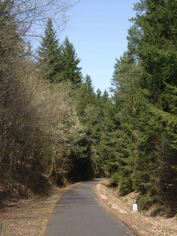 Eifel-Bahn-Maare-Mosel-Radwanderweg