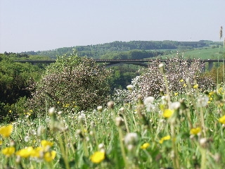 Foto: Wandern in Kyllburg