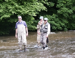 Eifel-Fischer in der Kyll