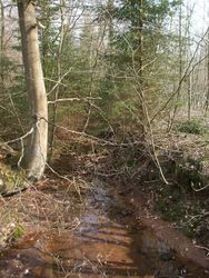 Eifel Radtouren, ein Traum wird wahr: Der Bierbach