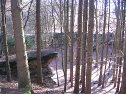 Felsformation-beim-Langenstein Nur wenige Meter vom Langenstein in den Wald findet man interessante Felsformationen welche ein sanftes Tal beidseitig begenzen.