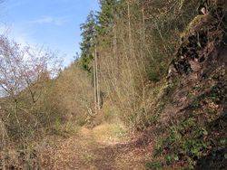 Der Eifel Fernwanderweg Josef Schramm Weg bei Zendscheid