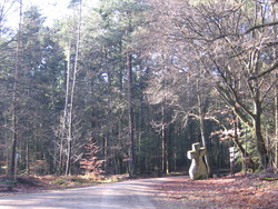 Das Fraubillenkreuz auf dem Ferschweiler Plateau im winterlichen Licht der Eifel